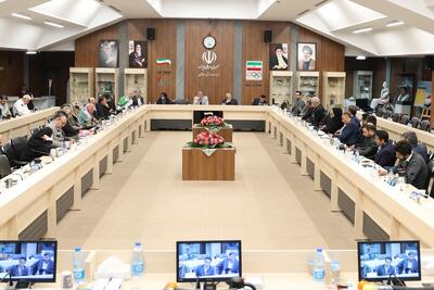 سمینار توسعه فکری جنبش پارالمپیک در ایران برگزار شد