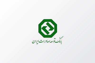 بررسی راهکارهای تأمین مالی صنعت نفت، گاز و پتروشیمی در پنل تخصصی بانک توسعه صادرات ایران