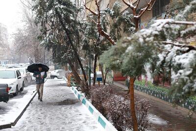 ایران سیبری می شود/ سرمای شدید در راه تهران و سایر استان ها | روزنو