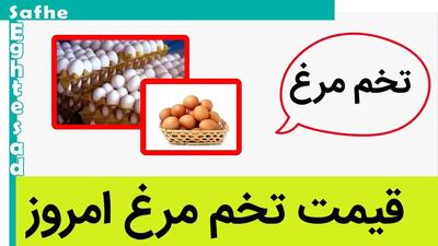 تخم مرغ چند؟/جدیدترین قیمت تخم مرغ امروز سه‌شنبه ۳۰ بهمن ۱۴۰۳ در بازار