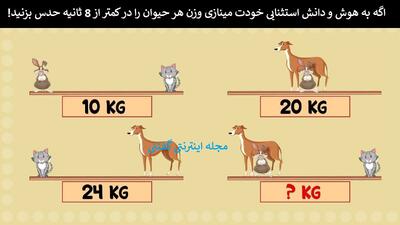 اگه به هوش و دانش استثنایی خودت مینازی وزن هر حیوان را در کمتر از 8 ثانیه حدس بزنید!