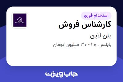 استخدام کارشناس فروش در پلن لاین