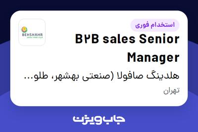 استخدام B2B sales Senior Manager در هلدینگ صافولا (صنعتی بهشهر، طلوع پخش آفتاب و گندم طلایی نوتریکا)