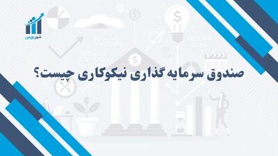 صندوق سرمایه گذاری نیکوکاری چیست و چگونه کار می‌کند؟