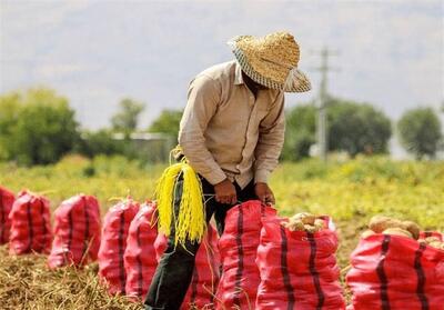 هدفگذاری تأمین 3 میلیون تن کود کشاورزی در سال جاری - تسنیم