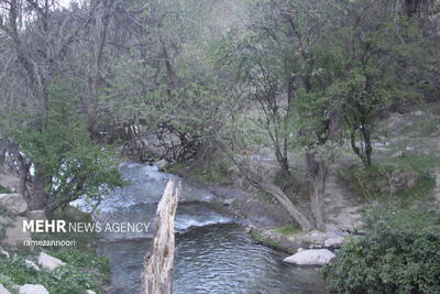 کُلم؛ عروس روستاهای استان ایلام