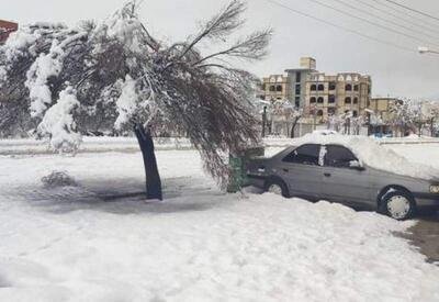 هشدار ؛ یخبندان شدید در  ۱۵ استان ! | رویداد24