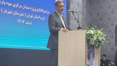 معاون اجرایی رئیس‌جمهور: نباید به جو روانی که از خارج تحمیل می‌شود دامن زد