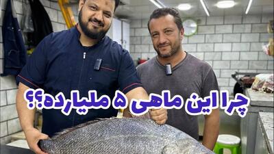 اکسیر جوانی شاید دلیل گرونی این ماهی باشه / گوشت ماهی ارزون ولی ضایعاتش میلیاردی هستش!