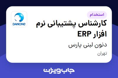 استخدام کارشناس پشتیبانی نرم افزار ERP در دنون لبنی پارس