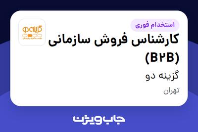 استخدام کارشناس فروش سازمانی (B2B) در گزینه دو