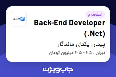 استخدام Back-End Developer (.Net) در پیمان یکتای ماندگار