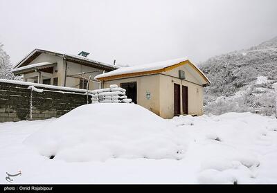 هواشناسی ایران1403/12/4؛هشدار قرمز بارش برف و یخبندان - تسنیم