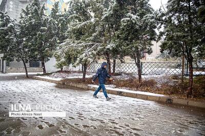 کاهش قابل ملاحظه دما در تهران