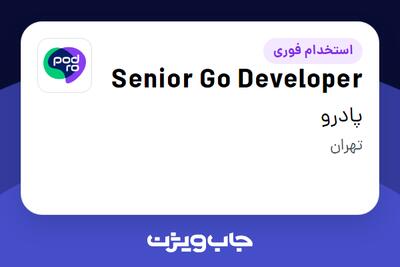 استخدام Senior Go Developer در پادرو