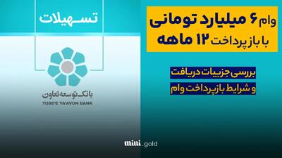 معرفی وام پایانه طلایی بانک توسعه تعاون/ وام ۶ میلیارد تومانی بانک توسعه تعاون به چه کسانی پرداخت می‌شود؟