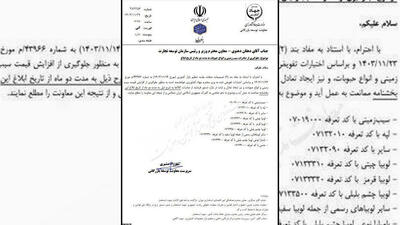 ممنوعیت صادرات سیب زمینی به مدت ۲ ماه + تصویر