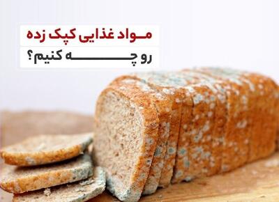 کپک‌ در انواع مواد، با مواد غذایی کپک‌ زده چه کنیم؟ - سبک ایده آل