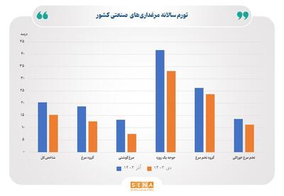 کاهش ۵.۲ واحد درصدی تورم ماهانه تولیدکننده مرغ‌داری‌های صنعتی