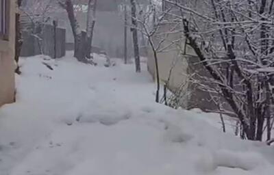 بارش برف در جاده چالوس روستای سیجان