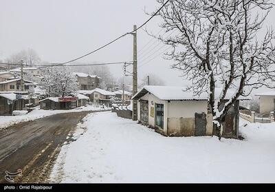 بارش سنگین برف جاده 166 روستای مازندران را مسدود کرد+اسامی - تسنیم