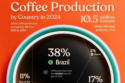 رتبه بندی برترین تولیدکنندگان قهوه در سال ۲۰۲۴ به تفکیک کشور (+ اینفوگرافی)