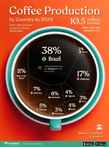اینفوگرافی/ رتبه بندی برترین تولیدکنندگان قهوه در سال ۲۰۲۴ | اقتصاد24