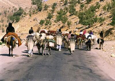 کوچ بیش از ۱۱ هزار خانوار عشایر لرستان از مناطق قشلاقی خوزستان و ایلام به مناطق ییلاقی استان