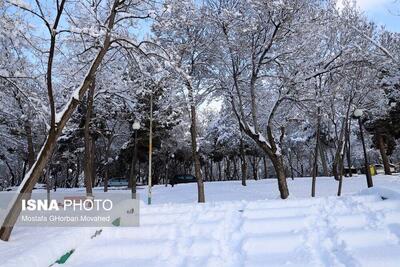 تجربه دمای زیر صفر در بیشتر نقاط استان تهران