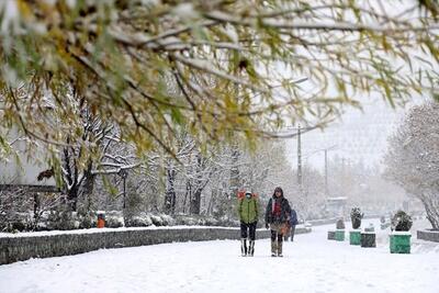 یخبندان در همدان ادامه دارد