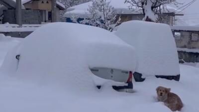 دفن خودروها زیر برف سنگین جواهرده رامسر