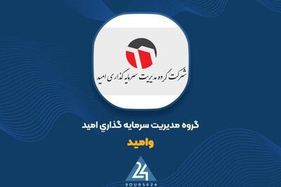 «وامید» در بهمن ماه چقدر سود ساخت؟