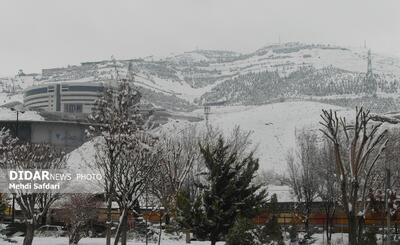 بارش برف و باران در ۸ استان/ سرمای شدید در پایتخت