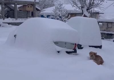 (ویدئو) دفن خودروها زیر برف سنگین جواهرده رامسر