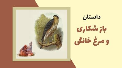 حکایت گناه مرغ خانگی و باز شکاری | داستانی شنیدنی از کلیله و دمنه که از روی ظاهر کسی را قضاوت نکنیم