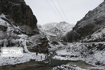 ۳ شکارچی غیرمجاز در مناطق کوهستانی بوکان دستگیر شدند