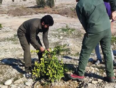 تدوین نقشه راه سازمان منابع طبیعی با بودجه ۱۵ همتی