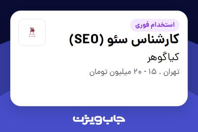 استخدام کارشناس سئو (SEO) - خانم در کیاگوهر