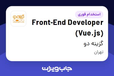 استخدام Front-End Developer (Vue.js) در گزینه دو