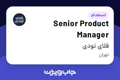 استخدام Senior Product Manager در فلای تودی