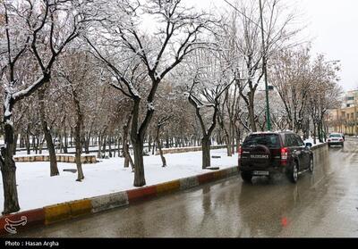 هشدار وزارت بهداشت در مورد سرمای‌هوا - تسنیم