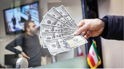 گلایه یک شهروند خبرنگار از عدم تخصیص ارز واردات کالا