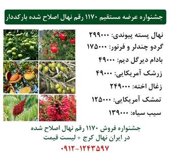 جشنواره عرضه مستقیم 1170 رقم نهال اصلاح شده بارکددار در ایران نهال کرج ارسال یک روزه به سراسر ایران