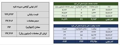 معامله ۲۳۹ کیلوگرم شمش نقره در بورس کالا