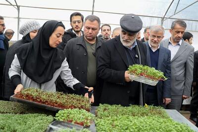 بازدید رئیس دانشگاه آزاد اسلامی از کارخانه نوآوری کرمانشاه