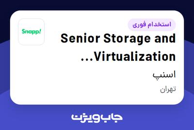 استخدام Senior Storage and Virtualization Engineer در اسنپ