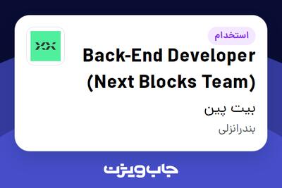 استخدام Back-End Developer (Next Blocks Team) در بیت پین