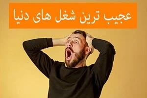 سوژه امروز | مشاغل عجیب و غریبی که نمی دانستید وجود دارند!!