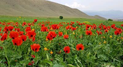 5 مورد از جاهای دیدنی محلات بهشت ایران