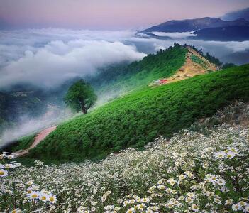 خنک ترین جای ایران در تابستان این 10 شهر هستند